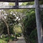 江田神社の参道