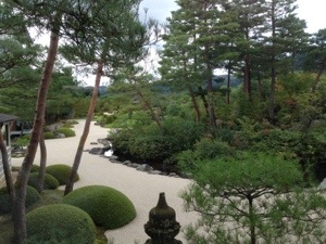 苔庭 苔庭