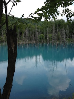 青い池