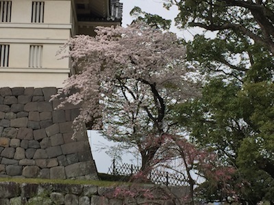 小田原城