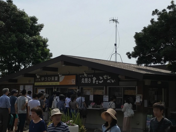 江ノ島　タコせんべい